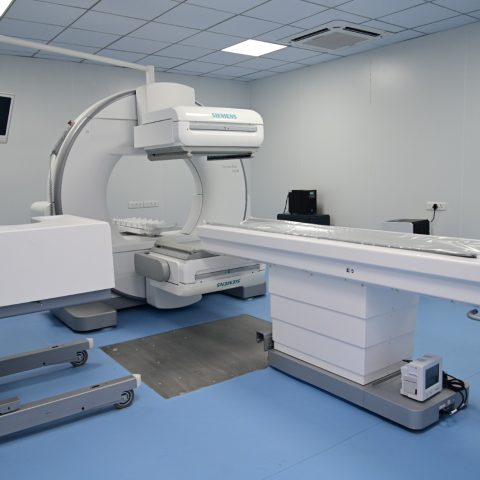 Gallery Photo 2